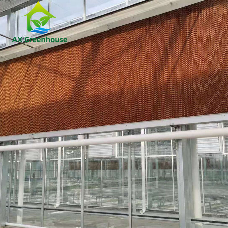 Gewerbliches Mehrspann-Venlo-Glas-Gewächshaus mit warmverzinktem Stahlrahmen und Dreieckdachform