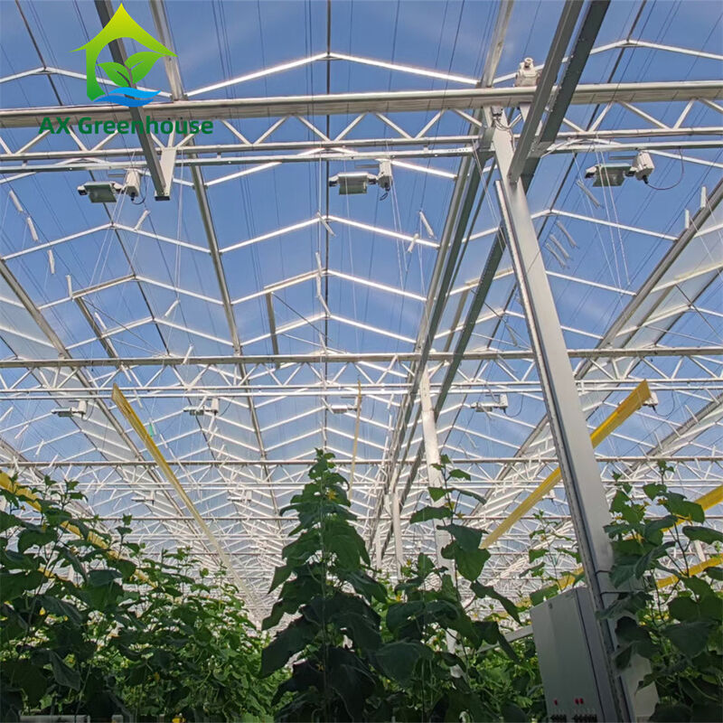 Gewerbliches Mehrspann-Venlo-Glas-Gewächshaus mit warmverzinktem Stahlrahmen und Dreieckdachform