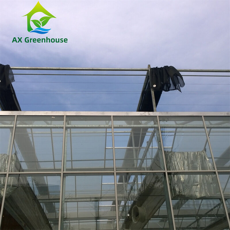 Gewerbliches Mehrspann-Venlo-Glas-Gewächshaus mit warmverzinktem Stahlrahmen und Dreieckdachform