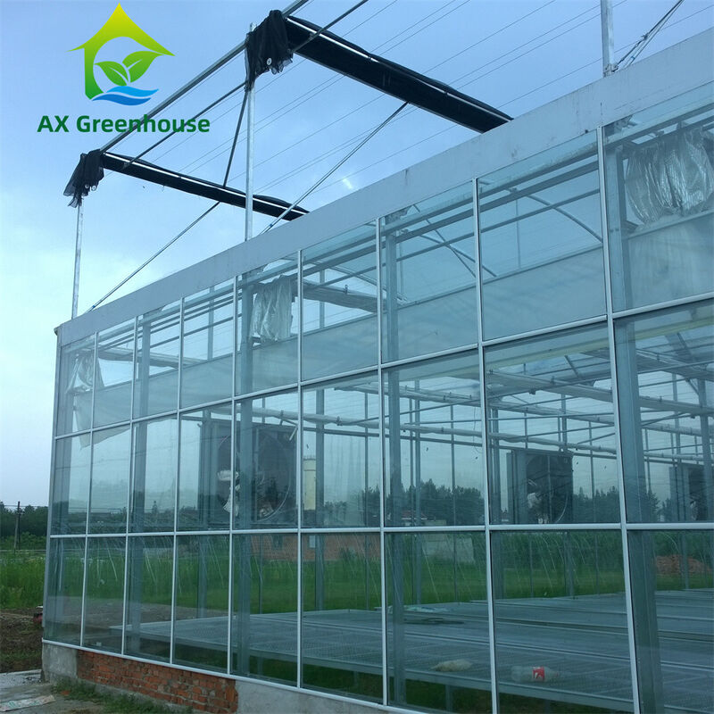 Gewerbliches Mehrspann-Venlo-Glas-Gewächshaus mit warmverzinktem Stahlrahmen und Dreieckdachform