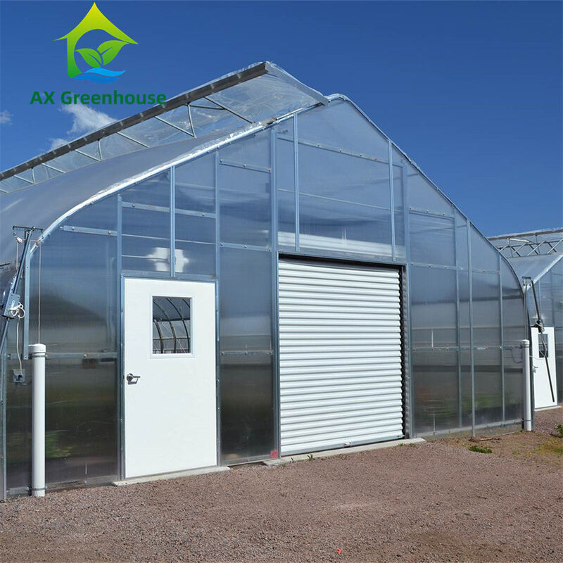 Mehrwändige Polycarbonat-Gewächshäuser mit vielseitigem Einschnitt Ideal für Gemüse Sämlinge Blumen Gartenbau