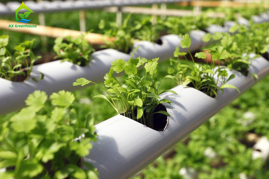 Soilless Indoor Farming Erdbeeren wachsen PVC-Rohr für Hydroponik NFT-System zum Verkauf