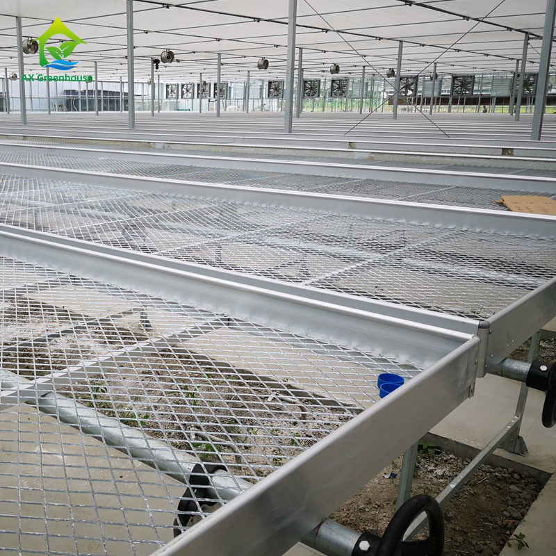Landwirtschaftliche Gewerbe-Indoor Mesh Draht Gewächshaus wachsen Tisch Rollbank für die Aussaat